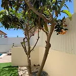 Luxsomar * Charneca (Setubal)