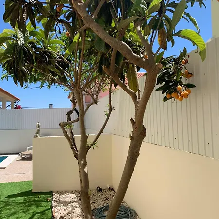 Luxsomar * Charneca (Setubal)