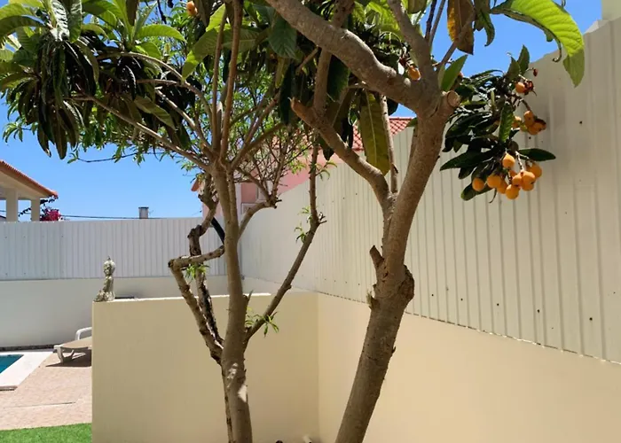 Luxsomar * Charneca (Setubal)